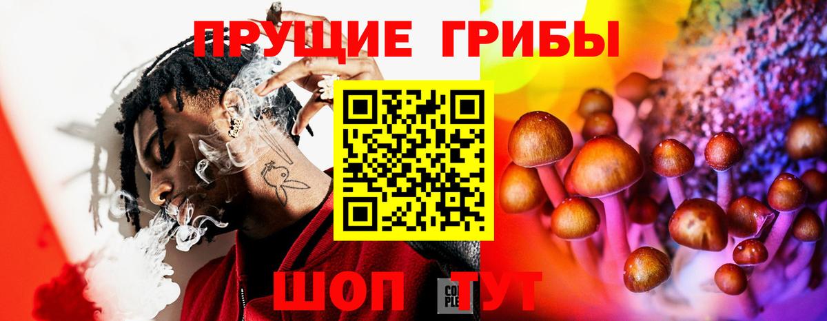 Железноводск  Псилоцибиновые грибы Psilocybine cubensis  Вход с VPN 