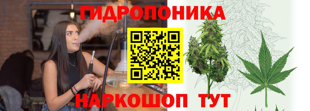 Железноводск  Бошки Шишки ГИДРОПОН  Бошки марихуана тримм  Вход с VPN  Каннабис сатива  Шишки марихуана White Widow 